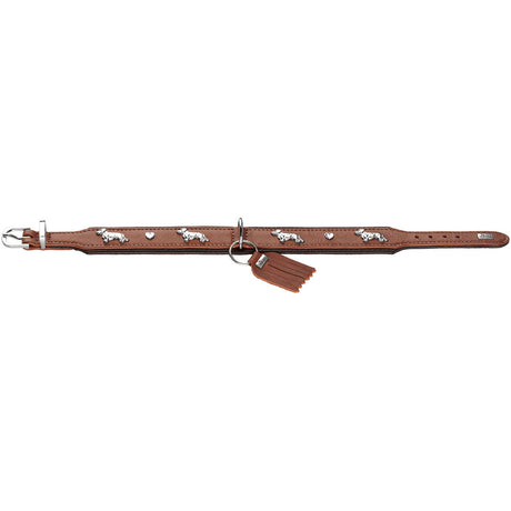 Teckel Halsband München