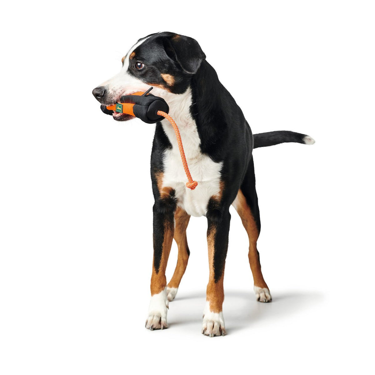 Hunter Trainer Snack Dummy mit Seil