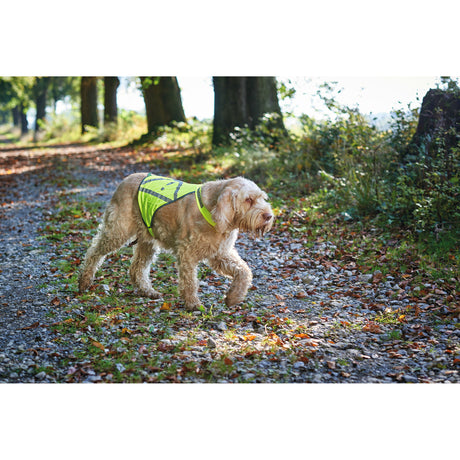 HUNTER Warnweste für Hunde