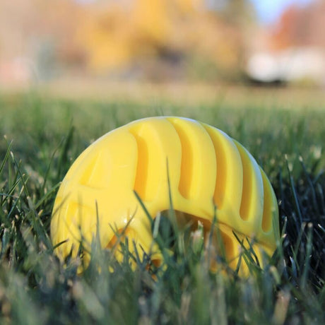 Wurf Hundespielzeug FLINGERZ™