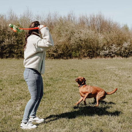 Wurf Hundespielzeug FLINGERZ™