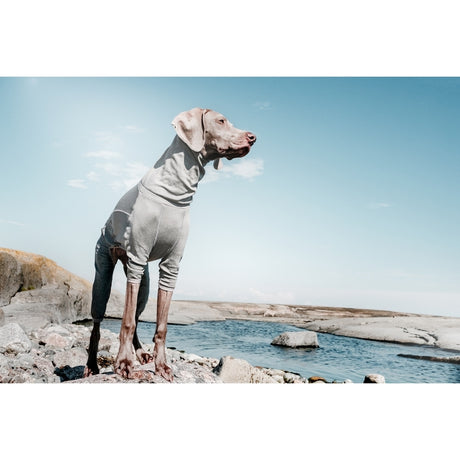Hurtta Body Warmer Overall für Hunde