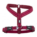 Hurtta Casual Y-Geschirr für Hunde