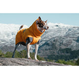 Expedition Wintermantel für Hunde