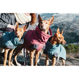 Expedition Wintermantel für Hunde
