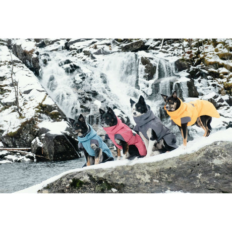 Expedition Wintermantel für Hunde