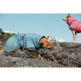 Expedition Wintermantel für Hunde