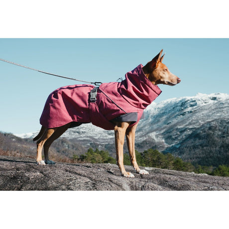 Expedition Wintermantel für Hunde
