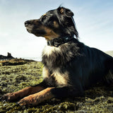 Hurtta Outdoor gepolstertes Halsband