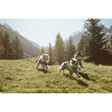 Hurtta Softshelljacke für Hunde Frost Jacket