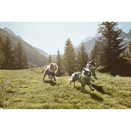 Hurtta Softshelljacke für Hunde Frost Jacket