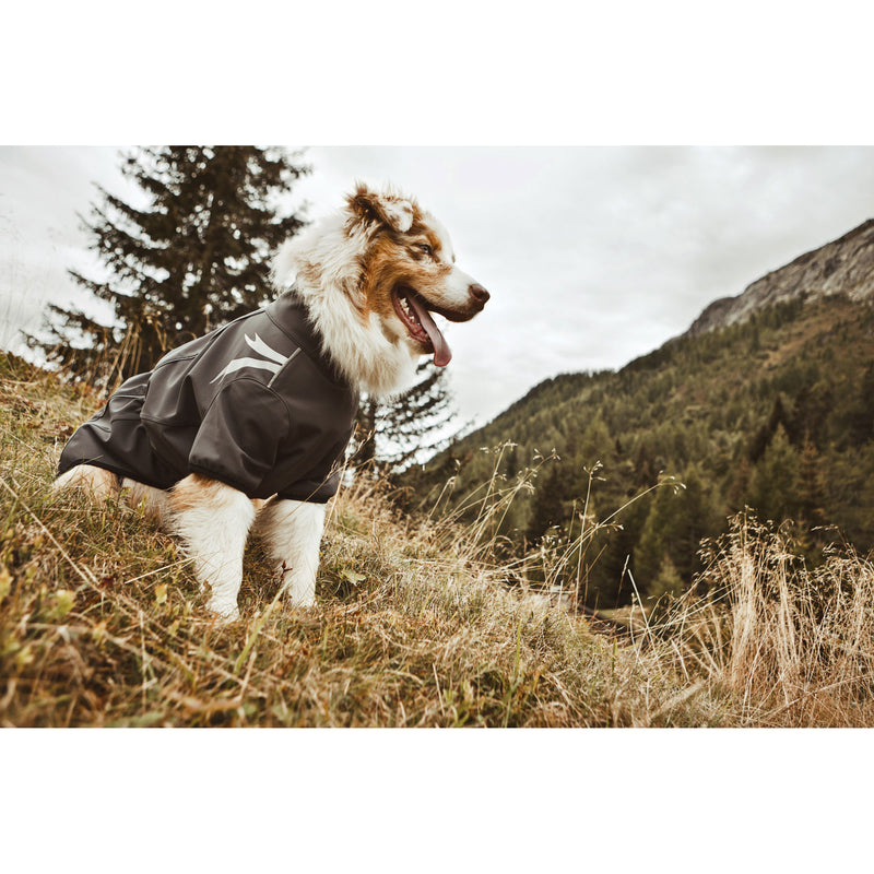 Hurtta Softshelljacke für Hunde Frost Jacket