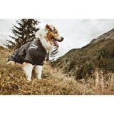 Hurtta Softshelljacke für Hunde Frost Jacket
