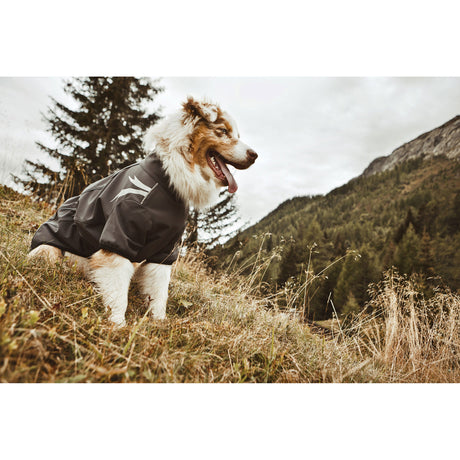 Hurtta Softshelljacke für Hunde Frost Jacket