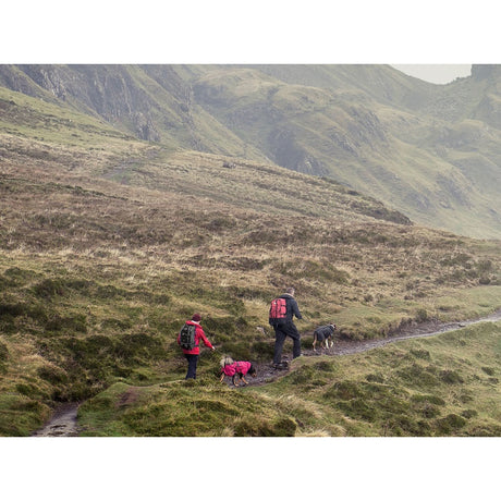 HURTTA Torrent Regenmantel für Hunde