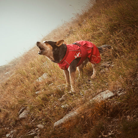 HURTTA Torrent Regenmantel für Hunde