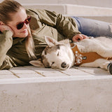Weekend Warrior Hundegeschirr