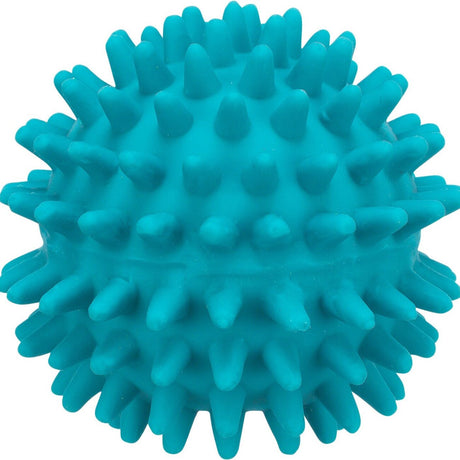 Igelball aus Latex für Hunde