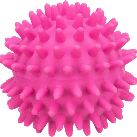 Igelball aus Latex für Hunde