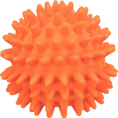Igelball aus Latex für Hunde