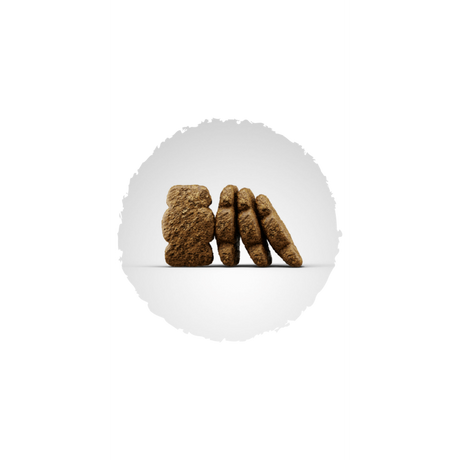 Josera Kids Welpenfutter