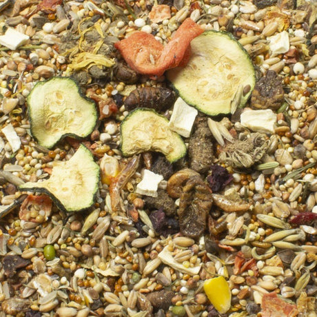 Food Rennmaus Adult