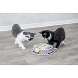 Junior Kitten Circle Katzenspielzeug