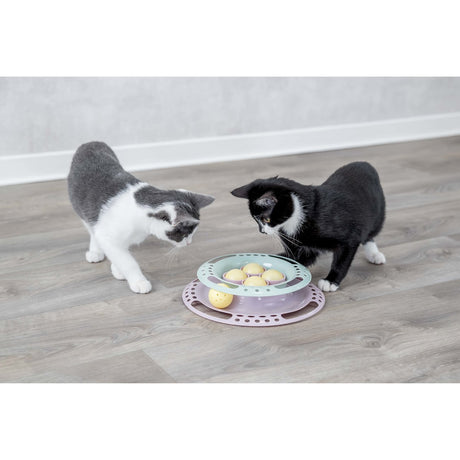 Junior Kitten Circle Katzenspielzeug