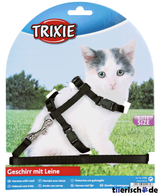 Katzengeschirr mit Leine für Kitten – Geschirr: 19-31cm / 8 mm, Leine, 1,20 m