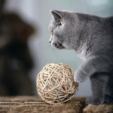 Katzenball Fang die Maus