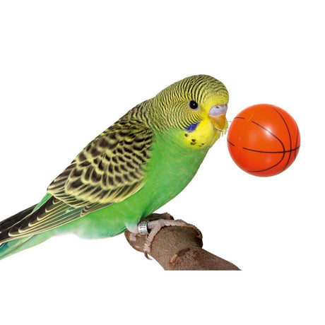 Streetball Vogelspielzeug