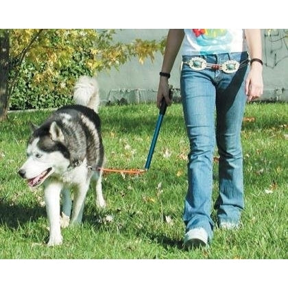 Karlie Walky Dog Fahrradhalter Fahrradleine für Hunde