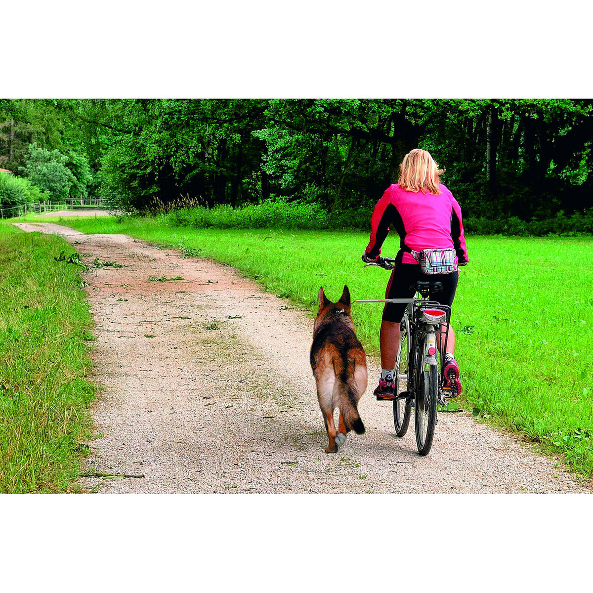 Karlie Walky Dog Fahrradhalter Fahrradleine für Hunde