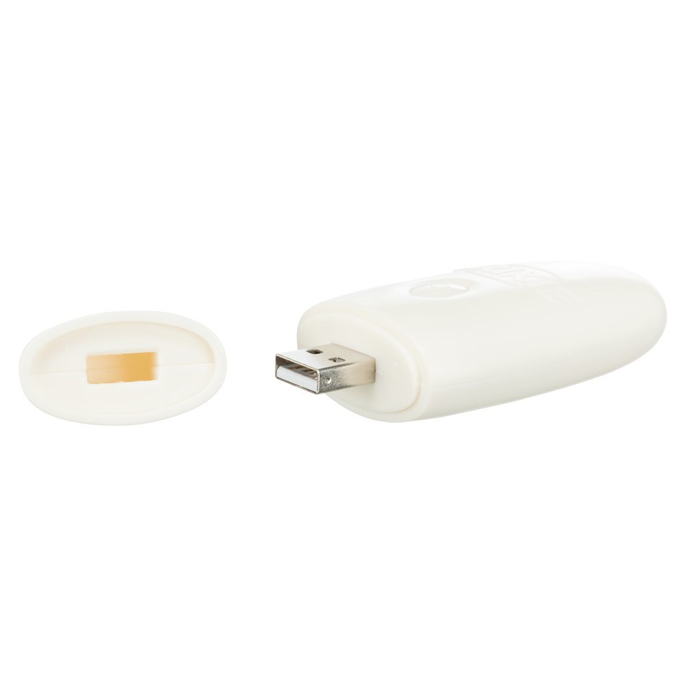 Katzen LED Pointer Catch the Light