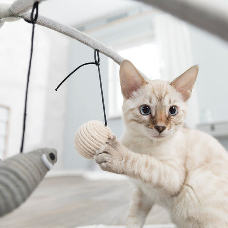 Katzen Kratzmatte Spielbogen für Katzen
