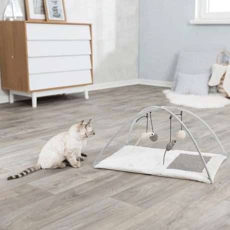 Katzen Kratzmatte Spielbogen für Katzen