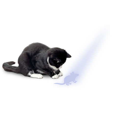 Katzen LED Pointer mit Maus Motiv