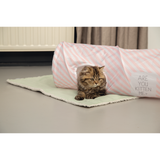Katzenliegedecke Tilou