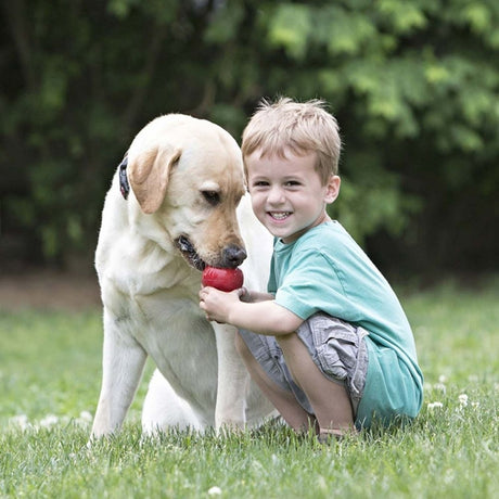 Classic rot Hundespielzeug