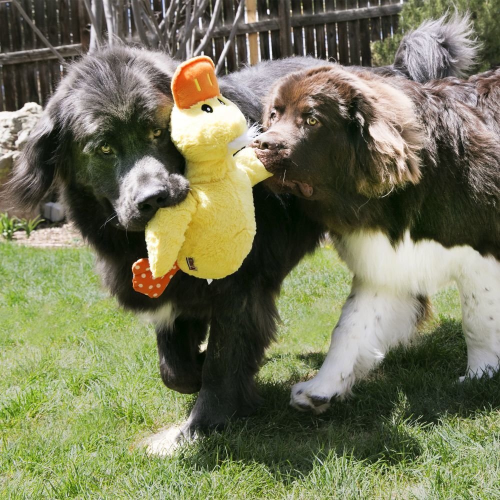 Comfort Jumbo Hundespielzeug