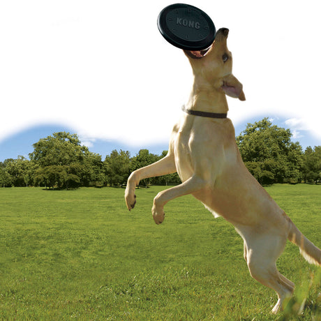Extreme Flyer Hundefrisbee
