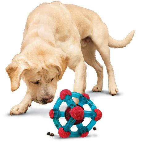 Hundespielzeug Rewards Tinker
