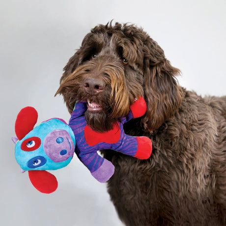 Hundespielzeug Switcheroos