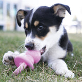 Puppy Binkie