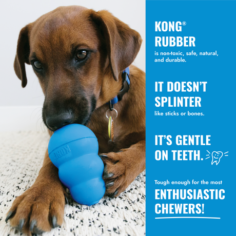 KONG Puppy Welpenspielzeug