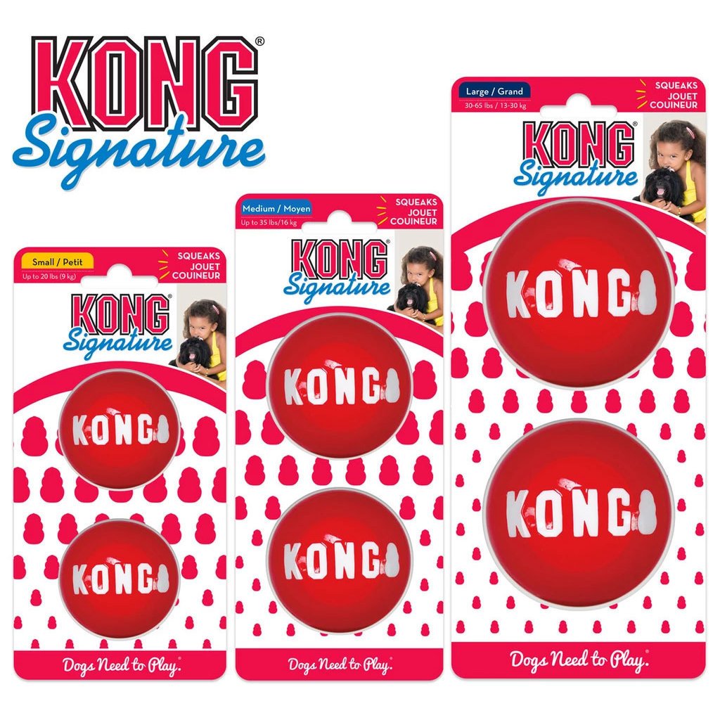 Hundeball KONG Signature Ball
