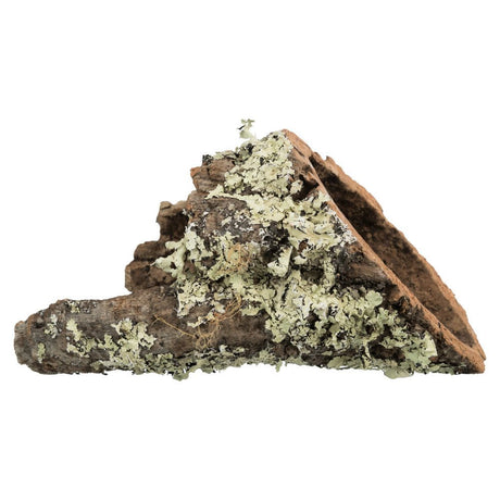 Korkröhren für Terrarien und Nager – L: bis zu ø 19/55 cm