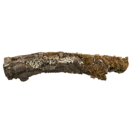 Korkröhren für Terrarien und Nager