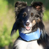 Kühlhalsband für Hunde Bandana Fresk