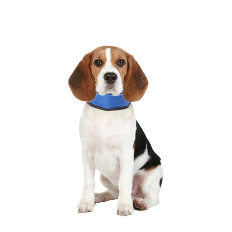 Kühlhalsband für Hunde Bandana Fresk